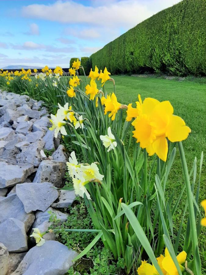 Bunratty Haven Bed & Breakfast Экстерьер фото